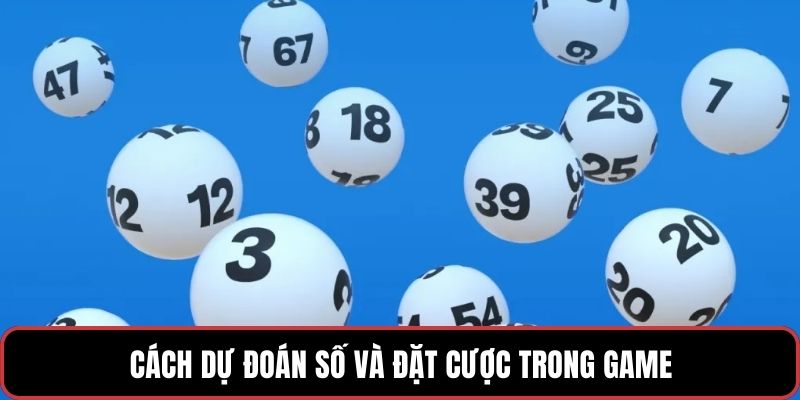 Cách dự đoán số và đặt cược trong game