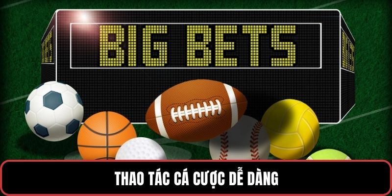 Thao tác cá cược dễ dàng